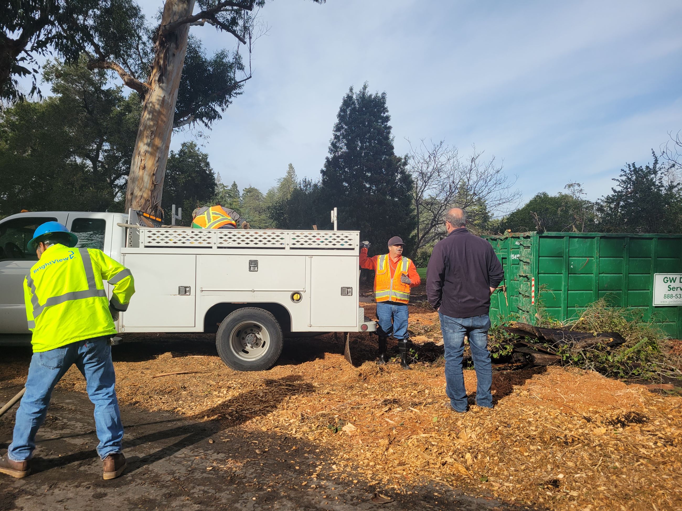 Public Works Staff at Holbrook Palmer Park
