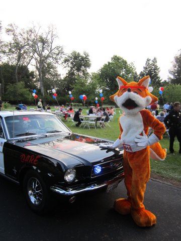 NNO Dare CAr and Fox