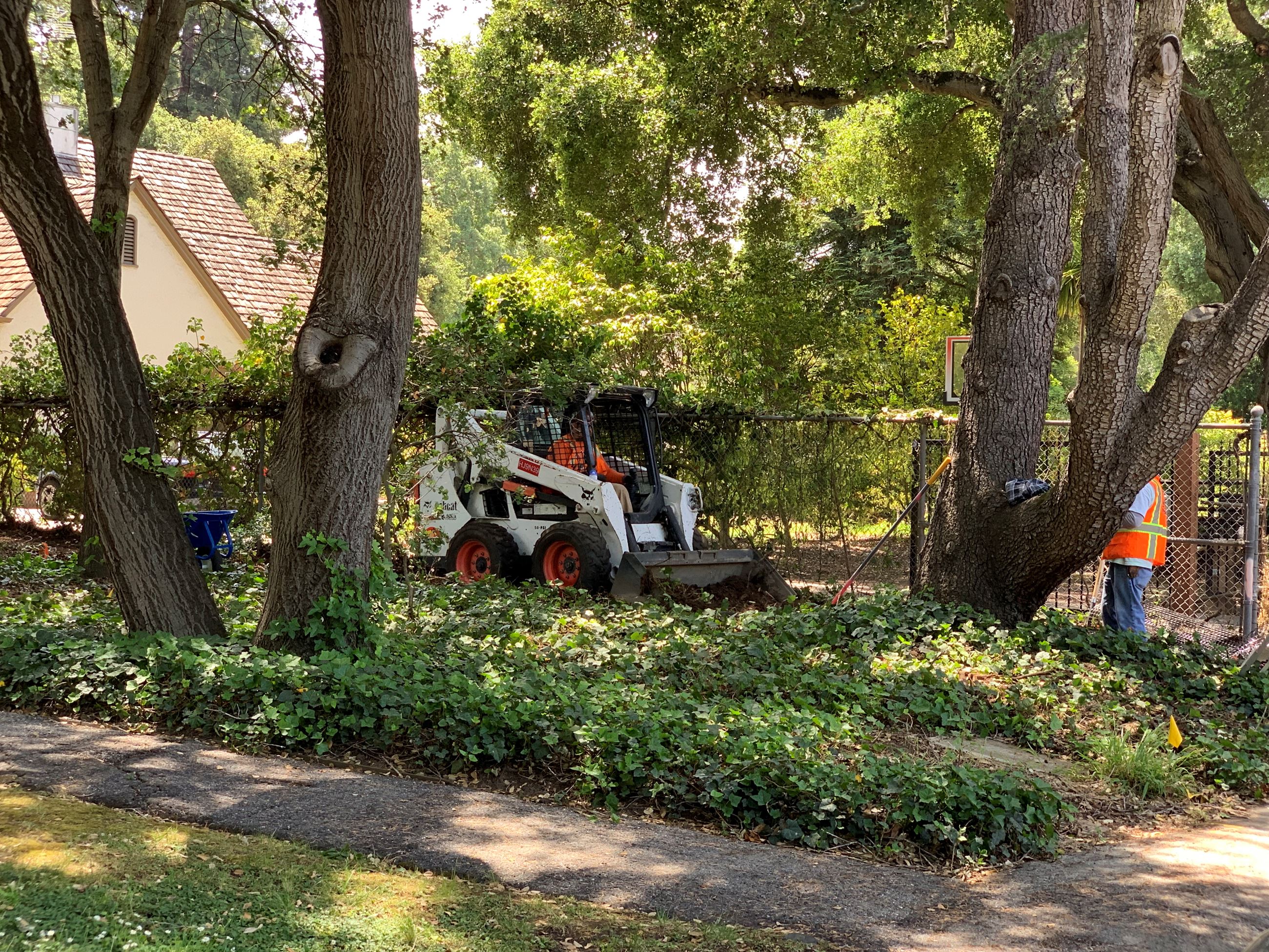 DG Path Work DG Path Work