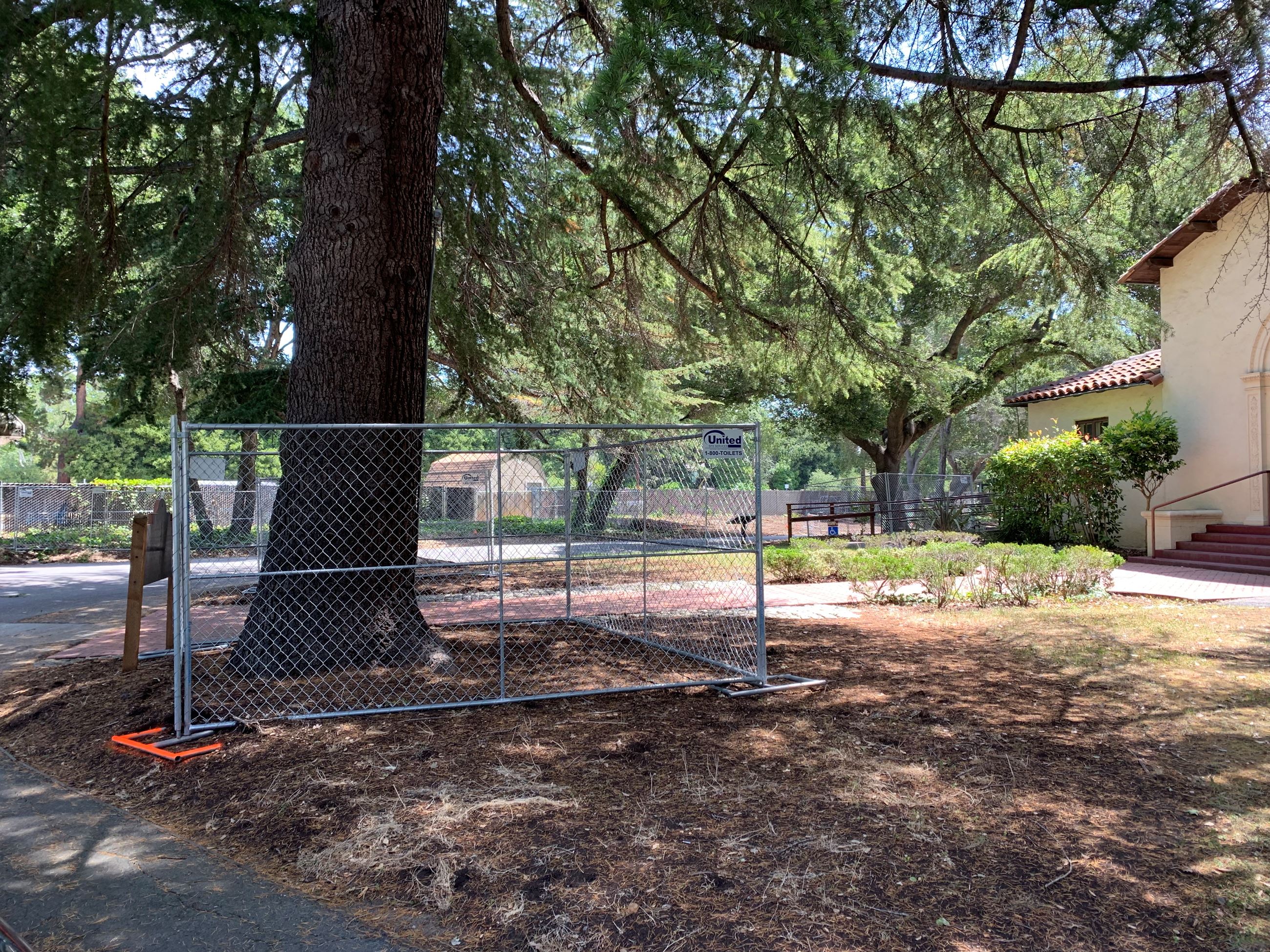 Tree Protection Tree Protection