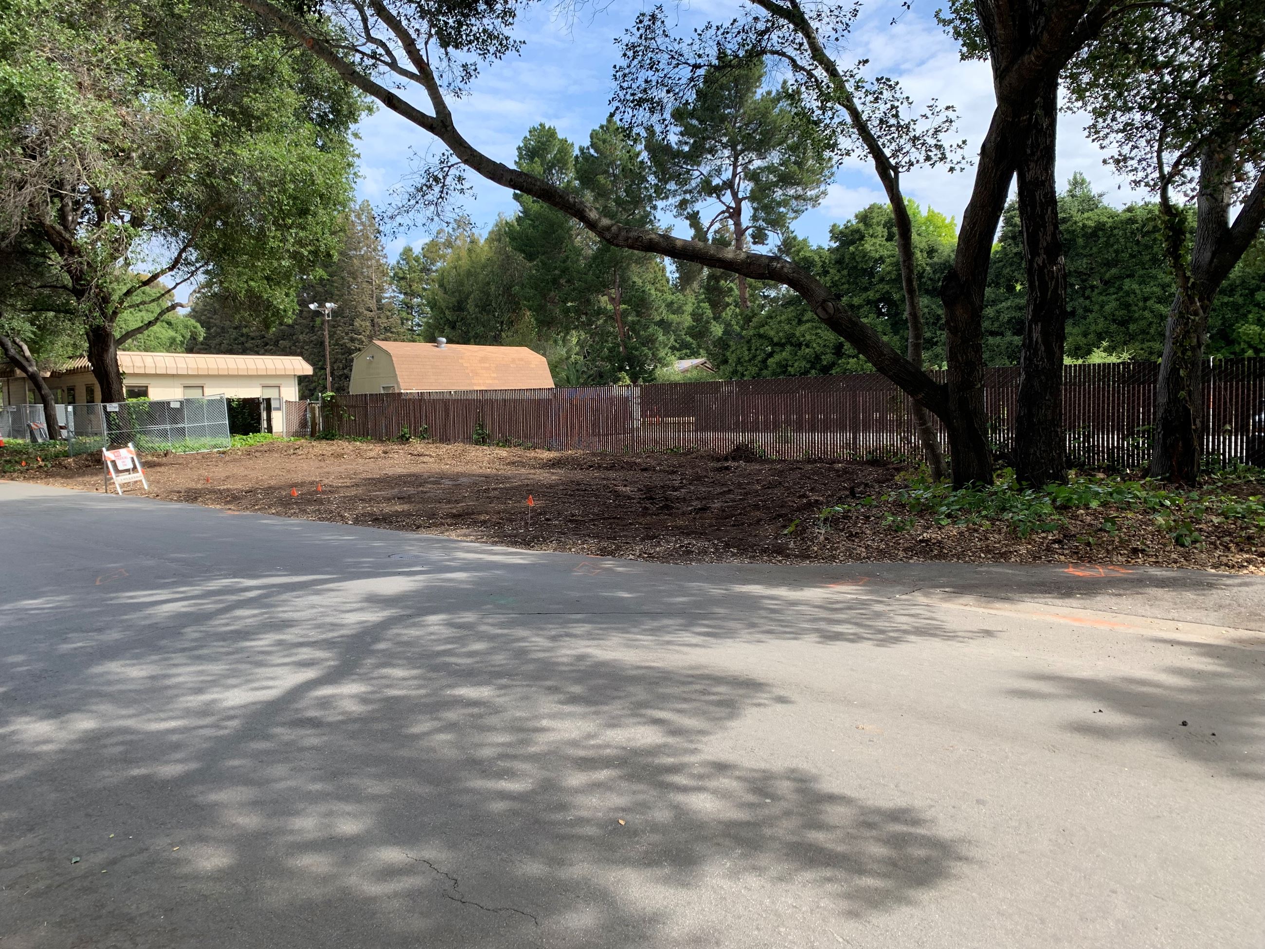 Tree Protection Site Clearing