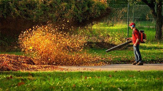 Leaf Blower