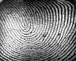 fingerprint